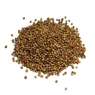 Coriander Seed Whole | Pickling and Brining | Top Grade Spices