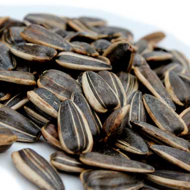 Roasted Sunflower Seeds No-Salt | Healthy | Full of Flavor